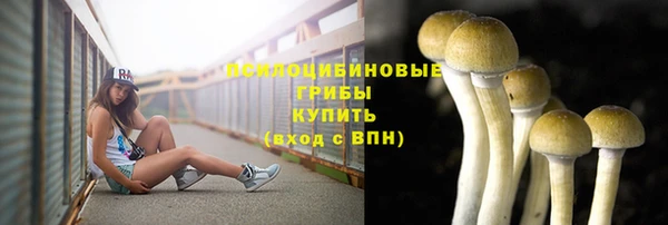 эйфоретик Киреевск