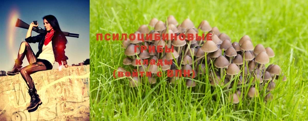круглые Кодинск